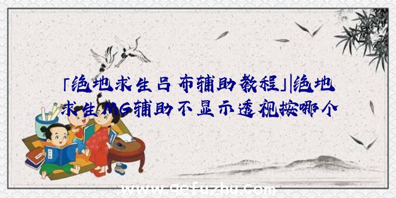「绝地求生吕布辅助教程」|绝地求生MG辅助不显示透视按哪个